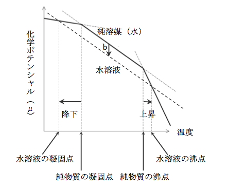 解説画像